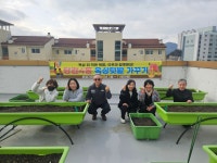 [당감4동] 주민과 함께하는 ‘옥상텃밭 가꾸기 프로그램’ 운영 시작 : 부산소개 : 주민자치회 : 주민자치회 소식 : 부산광역시 [당감4동] 주민과... 