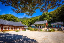 6-2구간 : 부산 갈맷길 부산 갈맷길