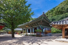 6-3구간 : 부산 갈맷길 부산 갈맷길