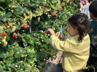 체험(치유)농장 : 부산광역시 농업기술센터 부산광역시 농업기술센터