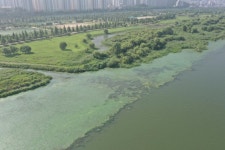 일반현황 : 부산광역시 낙동강관리본부 부산광역시 낙동강관리본부