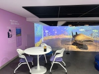 고래상어야 놀자 : 부산광역시 해양자연사박물관 부산광역시 해양자연사박물관