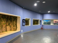 관상어류전시실 : 부산광역시 해양자연사박물관 부산광역시 해양자연사박물관