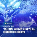 부산시 통합검색