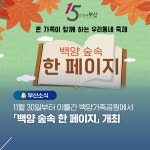 부산시 통합검색