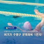 부산시 통합검색