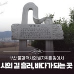부산시 통합검색