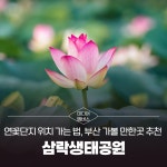 부산시 통합검색