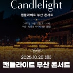 부산시 통합검색