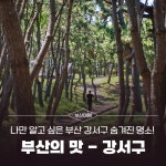 부산광역시 SNS 모아보기