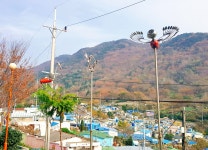 추천명소 > 부산진구 조형물 > 작품5(솟대) | 문화관광