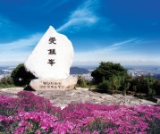 소개 > 부산진구홍보 > 명소 | 부산 진구청