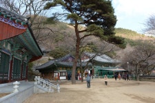 소개 > 부산진구홍보 > 명소 | 부산 진구청