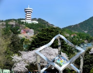 소개 > 부산진구홍보 > 명소 | 부산 진구청