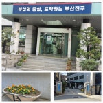 소통마당 > 사진자료실 | 부산 진구청
