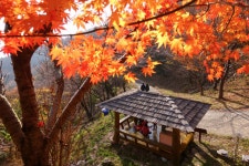 문화와역사 > 우리고장명산 > 백양산 > 백양산 | 문화관광