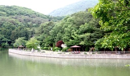 추천명소 > 도심속여유힐링공원 > 성지곡수원지 > 성지곡수원지 | 문화관광
