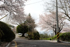 추천명소 > 도심속여유힐링공원 > 황령산레포츠공원 > 황령산레포츠공원 | 문화관광