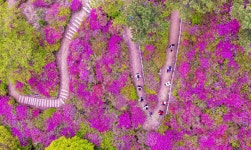 특집 ｜ 부산진구신문