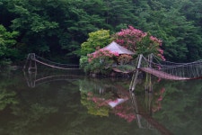 이야기 마당 ｜ 부산진구신문