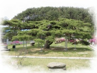 부여군청