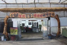부여군청