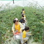 상세 > > > 부여군청