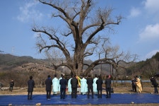 부여군청