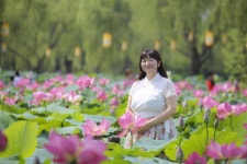 부여군청