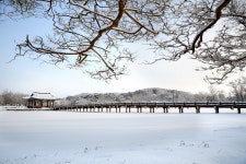 궁남지 > 관광지사진 > 부여군 관광정보 > 부여문화관광