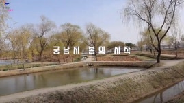 부여군청