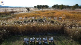 부여군청