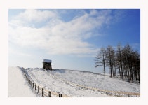 대관령목장 - 수상작 - 자동차 중고차 커뮤니티 카앤포토  대관령목장 - 수상작 - 자동차 중고차 커뮤니티 카앤포토