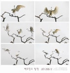 농소면 백로들의 합창 - 전체 - 자동차 중고차 커뮤니티 카앤포토