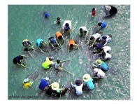 은어축제 - 전체 - 자동차 중고차 커뮤니티 카앤포토