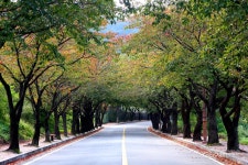 수안보의 가을도로 - 전체 - 자동차 중고차 커뮤니티 카앤포토