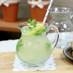 까사 CASA : 뉴글라스저그(3size) 뉴글라스저그(3size) | 까사