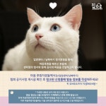 공지사항 - 마음입양자분들께 2021년 센터장 소금이가 작은 선물을 보내드립니다.