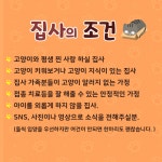 심쿵하개강아지고양이분양강서점 | 입양임보 - 죽을뻔한 심쿵 5남매 구조했어요 따뜻한 가족을 기다립니다.