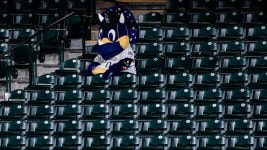 POLL — Mascots alone in stands. Which one looks loneliest? | story | Kids News POLL — Mascots alone in stands. Which one... 