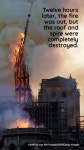 ‘We will rebuild:’ France vows to save 856-year-old... France vows to save 856-year-old cathedral after fire | CBC Kids News
