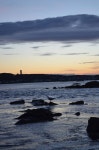 Four-Legged Friends - Innside Fogo Island - CBC Newfoundland & Labrador Innside Fogo Island