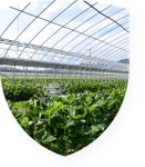 충북대학교 - 북방농업대학원Graduate School of Northern Agriculture