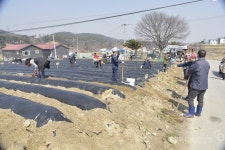 행사>주제별 사진> 디지털아카이브 행사>주제별 사진>
