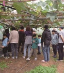 충청남도 천안시 : 향교서원