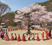 충청남도 금산군 : 전통산사문화재