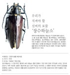 우리가 지켜야 할 신비의 보물 ‘장수하늘소’월간국가유산사랑 상세- 국가유산청 국가유산청
