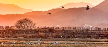 주남저수지 | 분야별정보