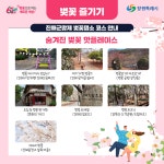 투어코스 | 행사안내 | 군항제 | 축제 | 창원시 분야별 정보
