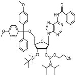 3-TBDMS-Bz-rA Phosphoramidite cas 129451-75-8 | tradekorea
